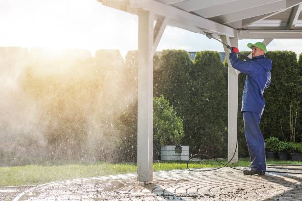 Best Dumpster Area Cleaning  in Fort Sumner, NM